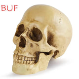 Human Head Skull Statue for Home Decor Resin Figurines Halloween Decoration Sculpture Medical Teaching Sketch Model Crafts - Life and Lines